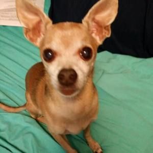 Meet your Posher, Bianca